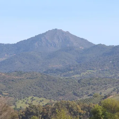 Dos Cedros * San Pablo